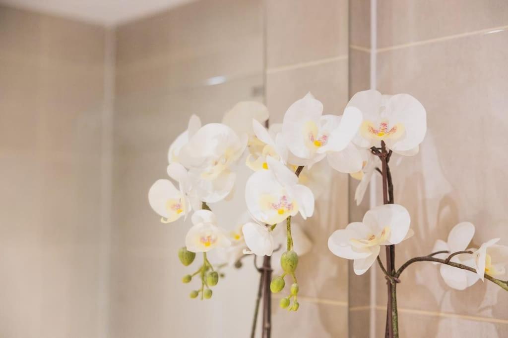 Cosy City Centre Apartment With Parking Μπέρμιγχαμ Εξωτερικό φωτογραφία